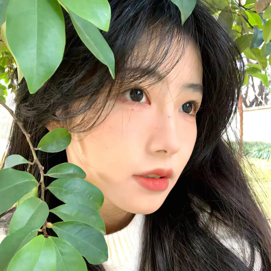 痴凤啼痕