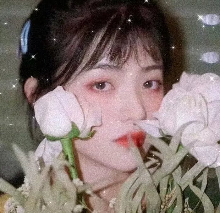 孔雀南飞